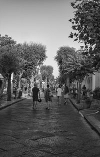 People walking in park