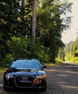 Car on road in forest