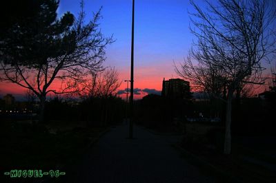 Bare trees against sky at sunset