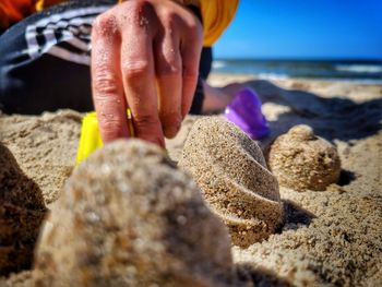 Cropped hand of man holding seashell at beach