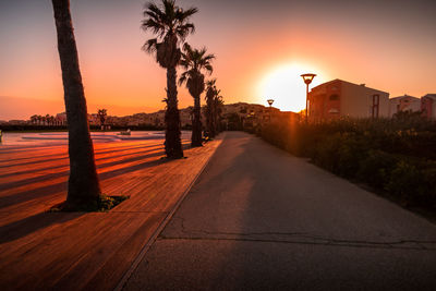 Palm trees during sunset