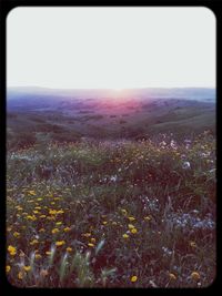 Scenic view of landscape against sky