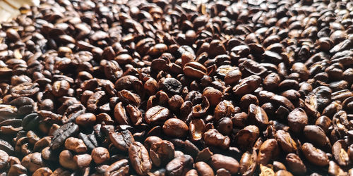 Full frame shot of coffee beans