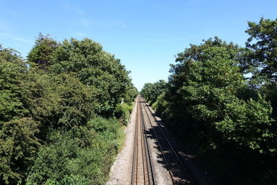 Railway tracks amidst trees against clear sky