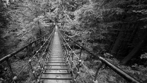 Railroad tracks amidst trees in forest