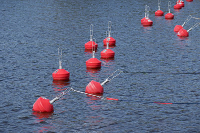 High angle view of red floating on sea