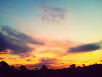 Silhouette of trees at sunset