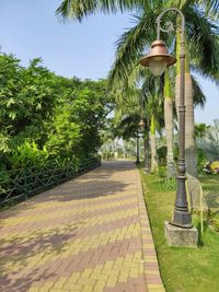 Street light and palm trees in park