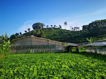 Scenic view of farm against sky
