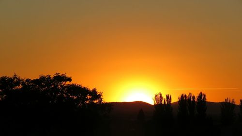 Silhouette of trees at sunset