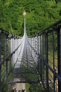 Footbridge over trees