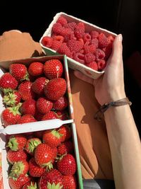 Midsection of person holding strawberries