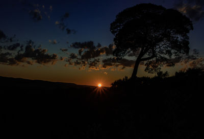 Silhouette trees against sky during sunset