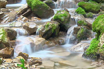 Scenic view of waterfall