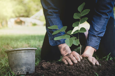 Midsection of woman holding plants in field