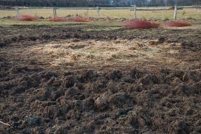 High angle view of farm