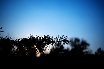 Silhouette trees against clear sky at sunset