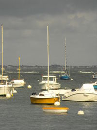 Boats moored in sea