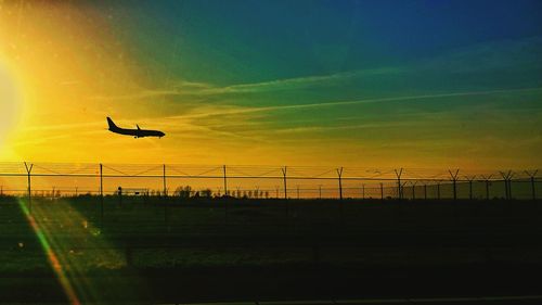 Silhouette birds flying against orange sky