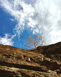 Low angle view of bare tree against sky