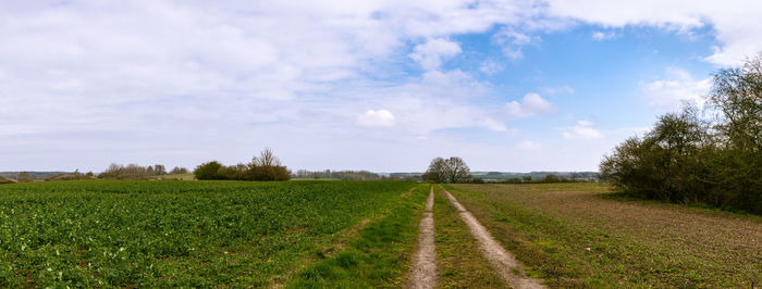 Scenic view of agricultural field against sky