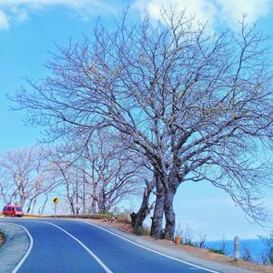 Empty road amidst bare trees against sky