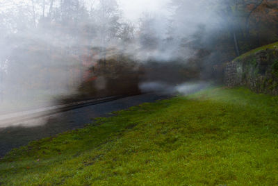 View of trees on landscape