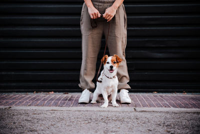 Young woman outdoors wearing protective mask, cute jack russell dog besides. new normal concept