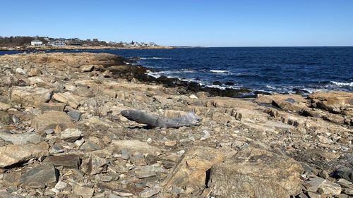 Scenic view of sea against clear sky