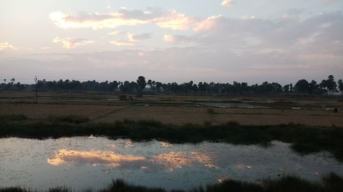 Scenic view of field against sky during sunset