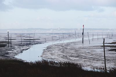 Scenic view of beach against sky