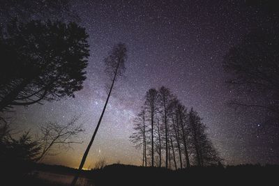 Low angle view of silhouette trees against sky at night