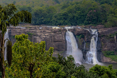 Scenic view of waterfall in forest