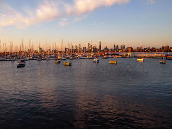 Sailboats moored in marina at sunset