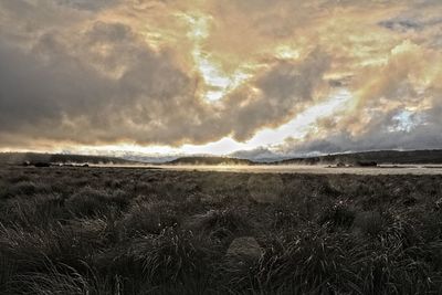 Scenic view of field against sky