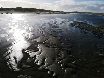 Close-up of beach against sky