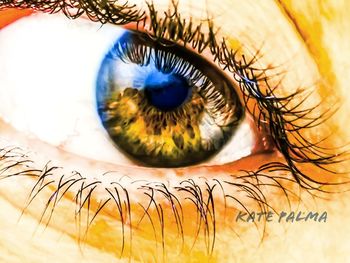 Close-up of human eye