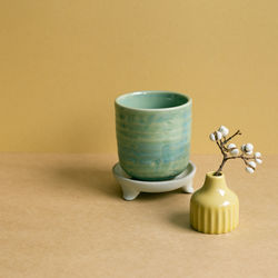 Close-up of potted plant on table