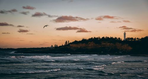 Silhouette birds flying over sea against sky during sunset