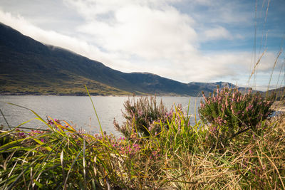 Scenic view of lake and mountains against sky