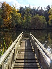 Scenic view of trees by river