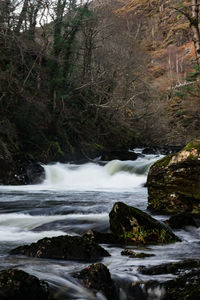 Scenic view of waterfall in forest