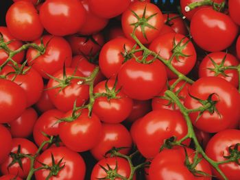 Full frame shot of tomatoes