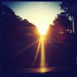 Sun shining through trees