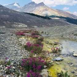 Scenic view of lake by mountains against sky