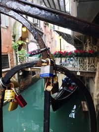 Close-up of padlocks hanging on railing