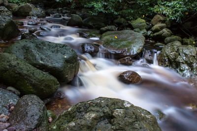 Scenic view of waterfall