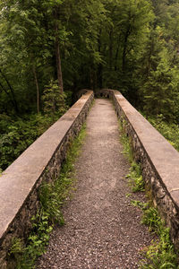 Narrow walkway in forest