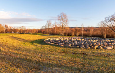 Scenic view of field against sky