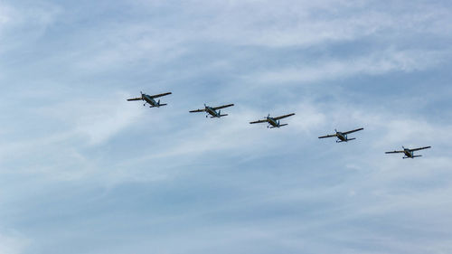 Low angle view of birds flying against sky